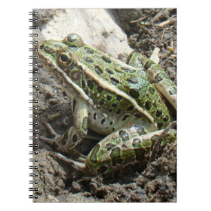 R3 Leopard Frog Notebook