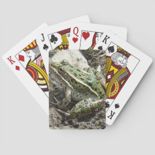 R3 Leopard Frog Playing Cards