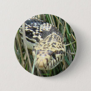 R4 Bull Snake 2 Inch Round Button