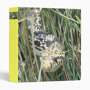 R4 Bull Snake Binder