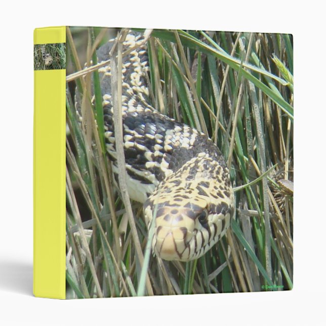 R4 Bull Snake Binder (Front/Spine)