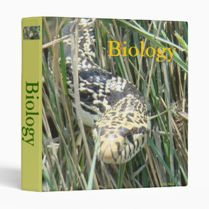 R4 Bull Snake Binder