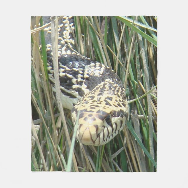 R4 Bull Snake in the Grass Fleece Blanket (Front)