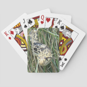 R4 Bull Snake in the Grass Playing Cards