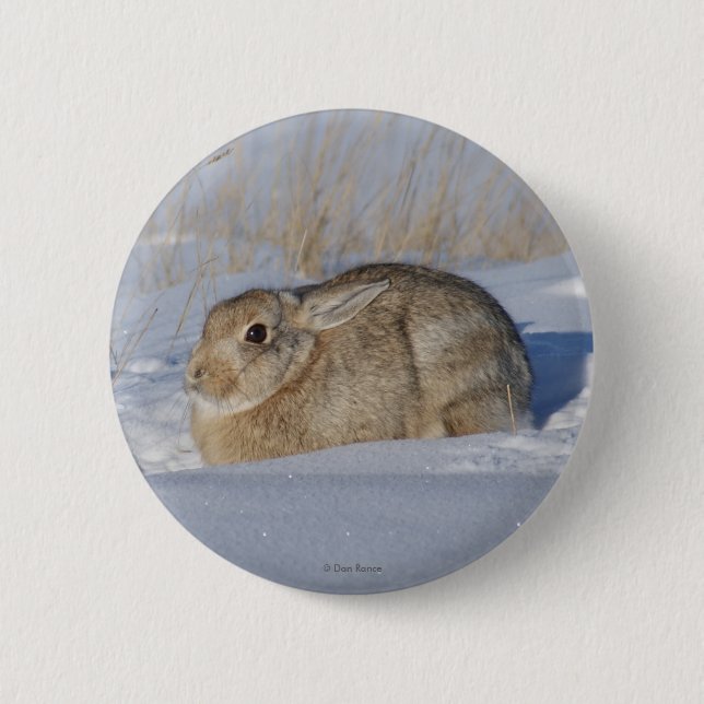 R5 Cottontail Rabbit in Snow 2 Inch Round Button (Front)