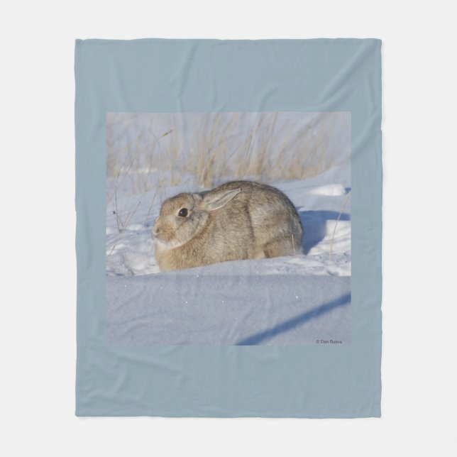 R5 Cottontail Rabbit in Snow Fleece Blanket (Front)