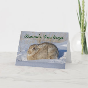 R5 Cottontail Rabbit in snow Holiday Card