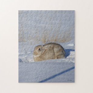 R5 Cottontail Rabbit in Snow Jigsaw Puzzle