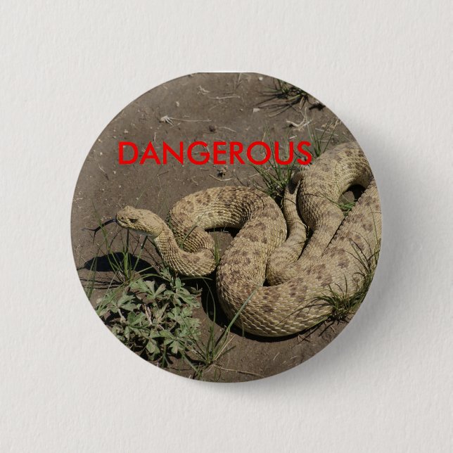 R6 Prairie Rattlesnake 2 Inch Round Button (Front)