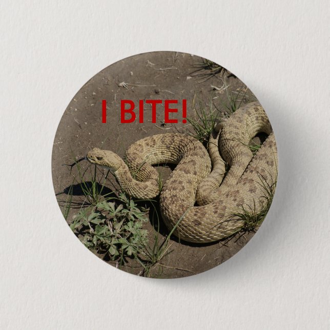 R6 Prairie Rattlesnake 2 Inch Round Button (Front)