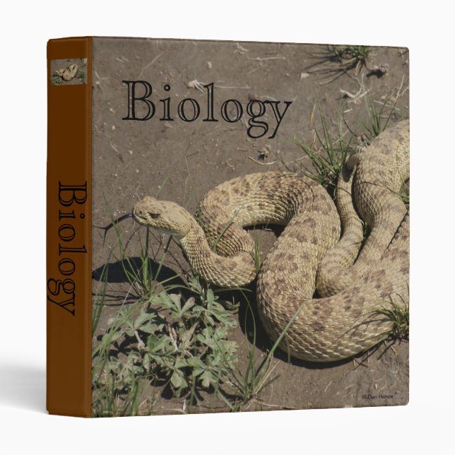 R6 Prairie Rattlesnake Binder (Front/Spine)