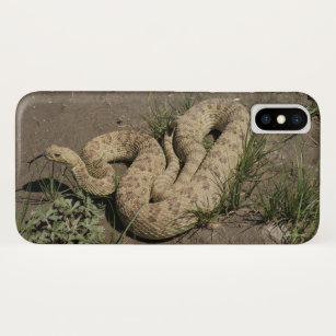 R6 Prairie Rattlesnake Case-Mate iPhone Case