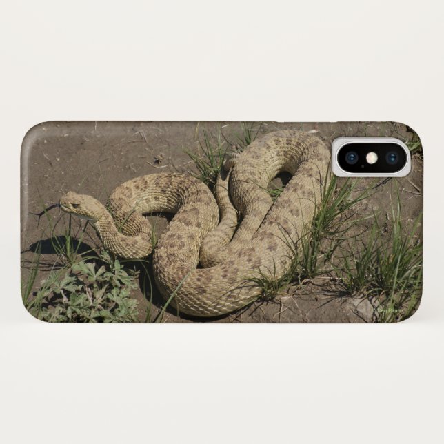 R6 Prairie Rattlesnake Case-Mate iPhone Case (Back (Horizontal))