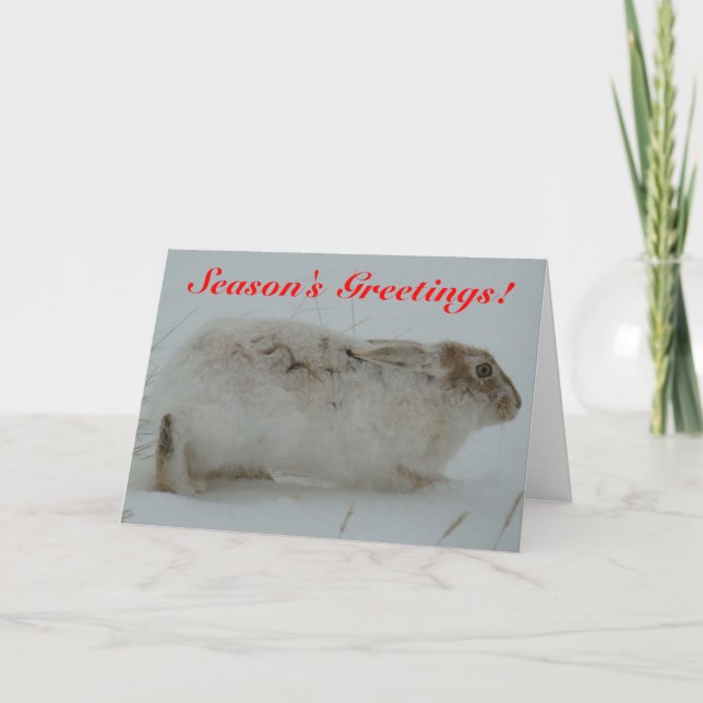 R7 Snowshoe Hare Holiday Card (Front)