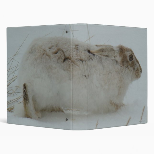 R7 Snowshoe Hare Ready to Run Binder (Background)
