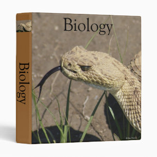 R8 Prairie Rattlesnake Head Shot Binder