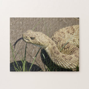 R8 Prairie Rattlesnake Head Shot Jigsaw Puzzle