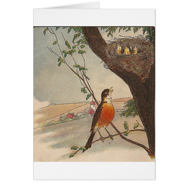 R est pour Robin (Devant)