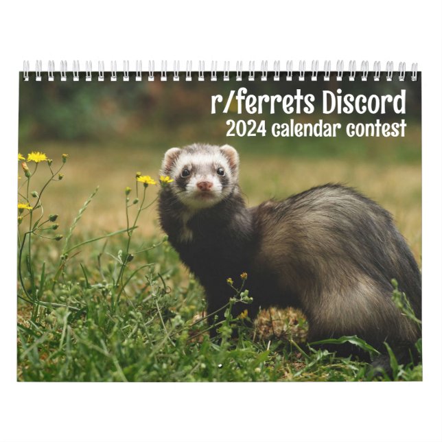 r/ferrets 2024 calendrier du concours (Protection)