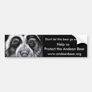 R.Manrique Bumper Sticker