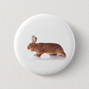 rabbit 2 inch round button