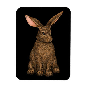 Rabbit 3 magnet