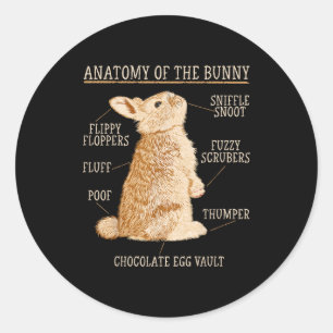 Rabbit Anatomy Bunny Lover Animal Pet Owner  Classic Round Sticker