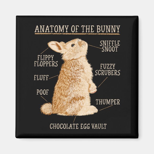 Rabbit Anatomy Bunny Lover Animal Pet Owner  Magnet (Front)