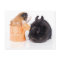 rabbit and guinea pig