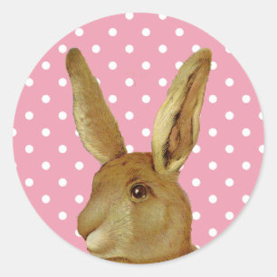 Rabbit and Pink Polka Dot Classic Round Sticker