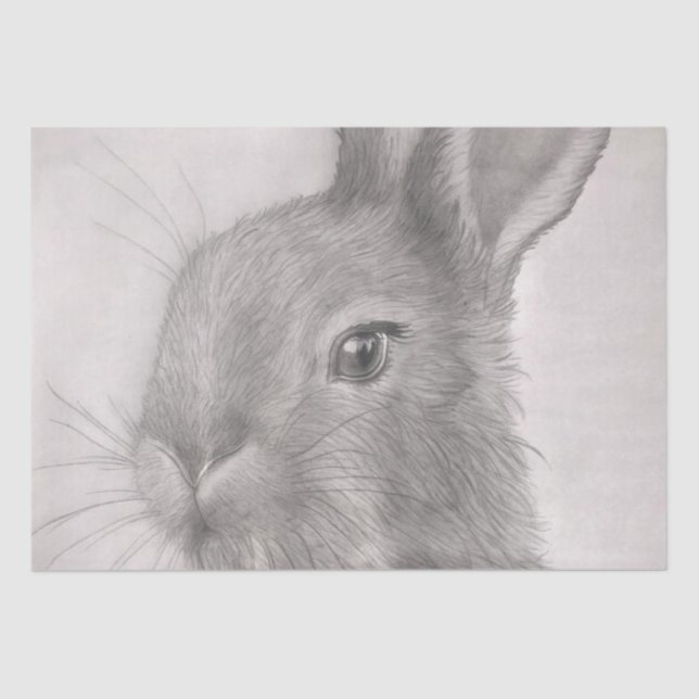 Rabbit Art Tissue Papers Tissue Paper (Front)