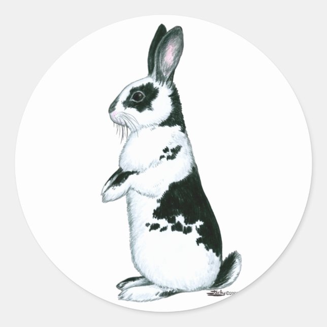 Rabbit:  Black and White Classic Round Sticker (Front)