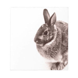 Rabbit Black and white Notepad
