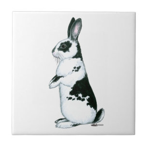 Rabbit:  Black and White Tile
