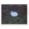 Rabbit Blank Card