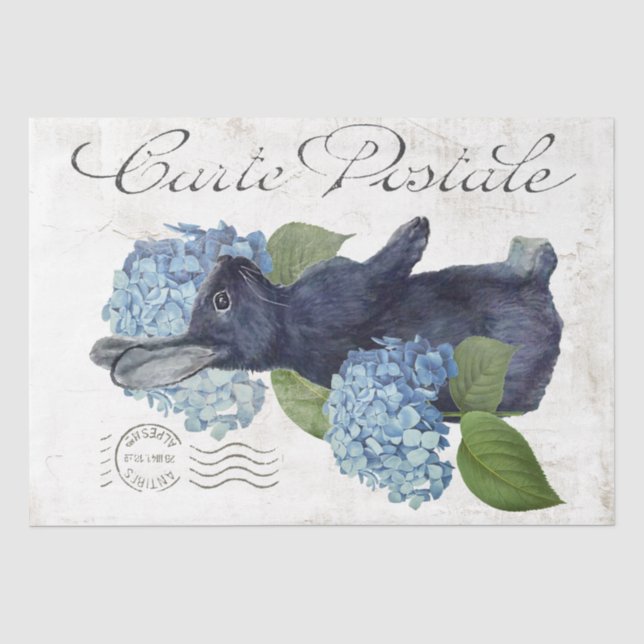 Rabbit Blue Hydrangea Flower Carte Postale French  Tissue Paper (Front)