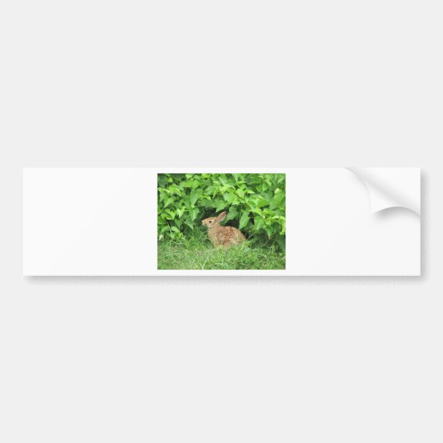 Rabbit Bumper Sticker (Front)