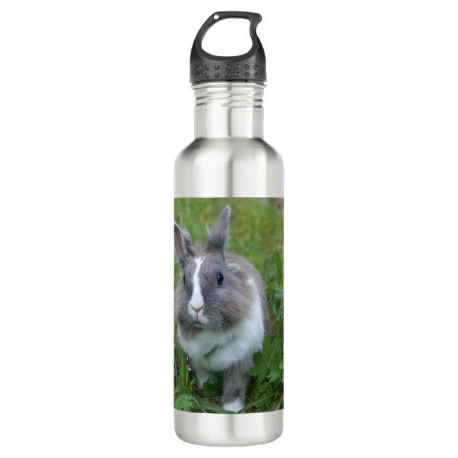 Rabbit bunny 710 ml water bottle (Front)