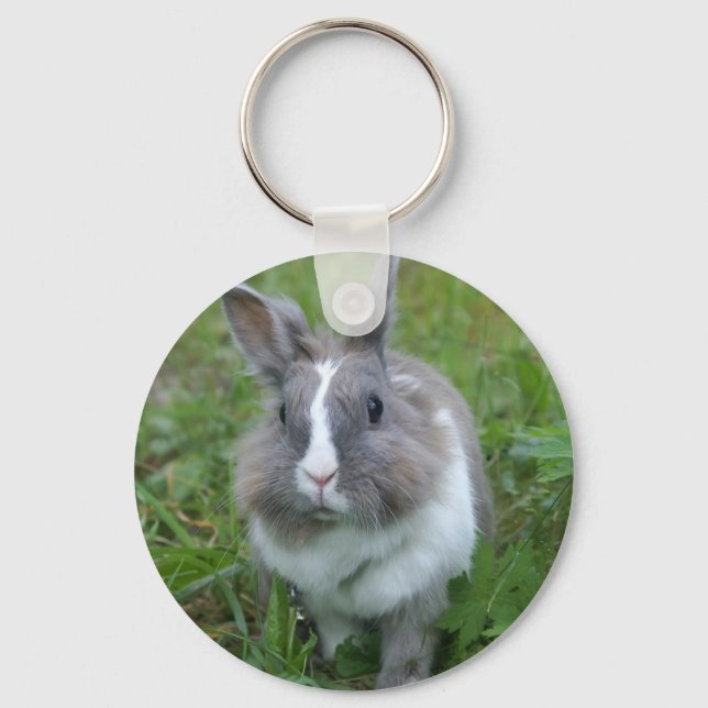 Rabbit bunny keychain (Front)