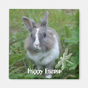 Rabbit bunny magnet