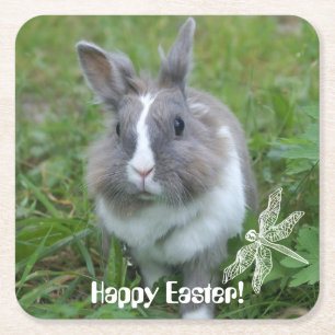 Rabbit bunny square paper coaster