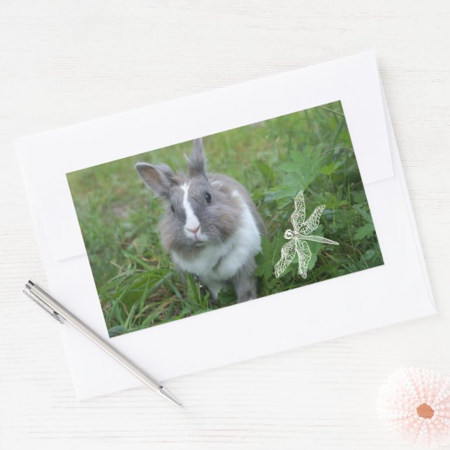 Rabbit bunny sticker (Envelope)