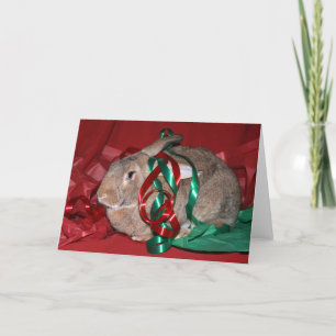 Rabbit Christmas Holiday Card