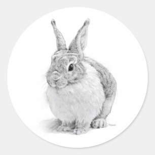 Rabbit Day Classic Round Sticker