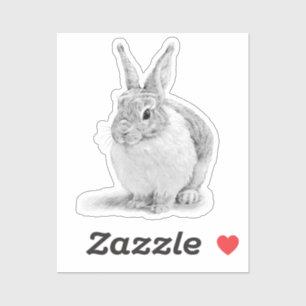 Rabbit Day Pencil Drawing