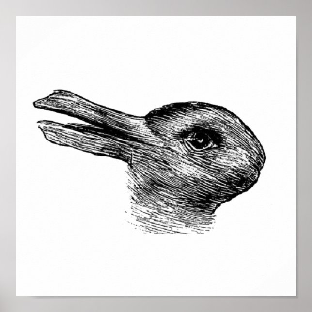 rabbit duck illusion poster (Front)