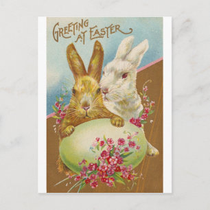 Rabbit Easter Greetings Vintage Holiday Postcard