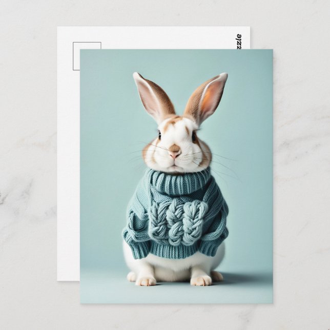 Rabbit en pull, Carte postale de poste (Devant / Derrière)