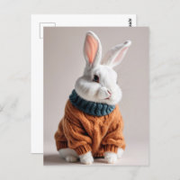 Rabbit en pull, Carte postale de poste