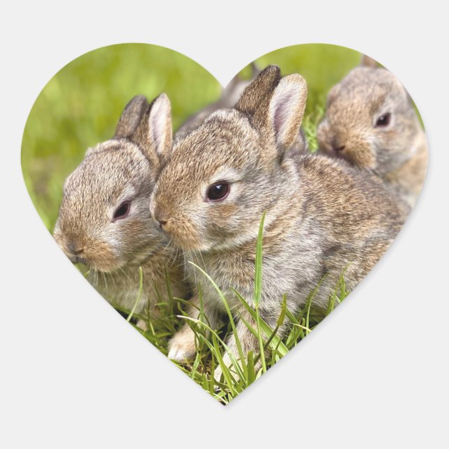 Rabbit Family Heart Sticker (Front)